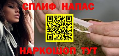 мдпв Славгород