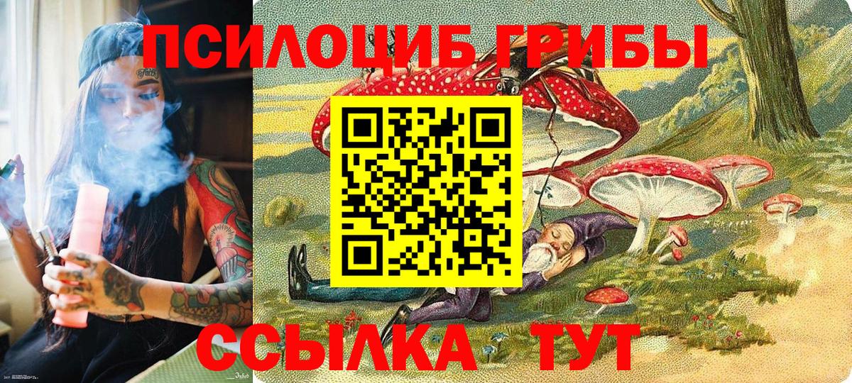 Галлюциногенные грибы Cubensis Осинники
