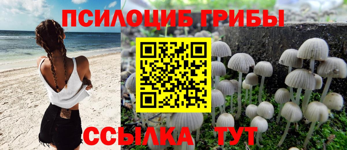 купить наркотик  Галлюциногенные грибы GOLDEN TEACHER  Вход с VPN  Псилоцибиновые грибы Psilocybe  Осинники 
